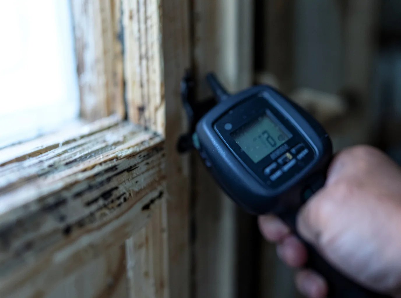 Moisture Inspection And Documentation in Fleischmanns, NY